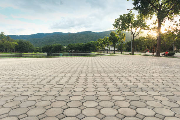 Best Driveway Pavers Near Me  in Tavernier, FL